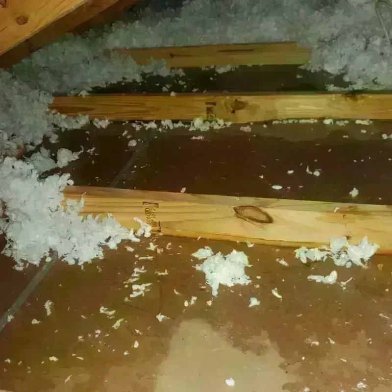 Attic Water Damage in Penitas, TX